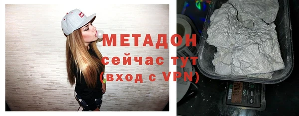 индика Абаза