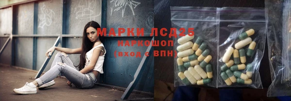 индика Абаза