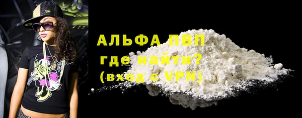 индика Абаза