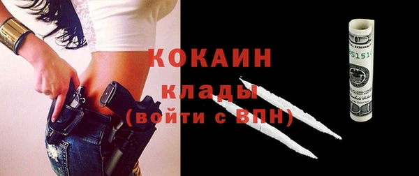 индика Абаза