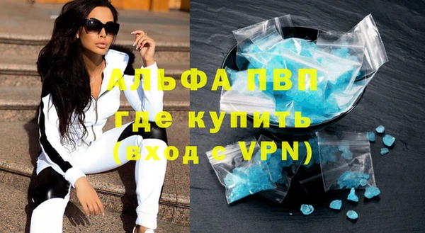 индика Абаза