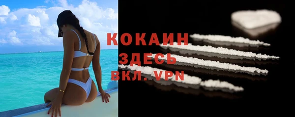 индика Абаза