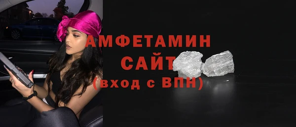 индика Абаза