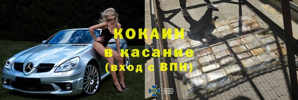 индика Абаза