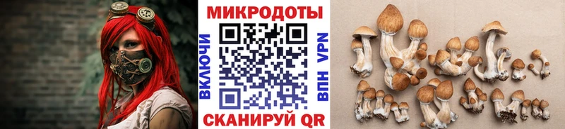 Галлюциногенные грибы Psilocybine cubensis  mega ONION  Анадырь 